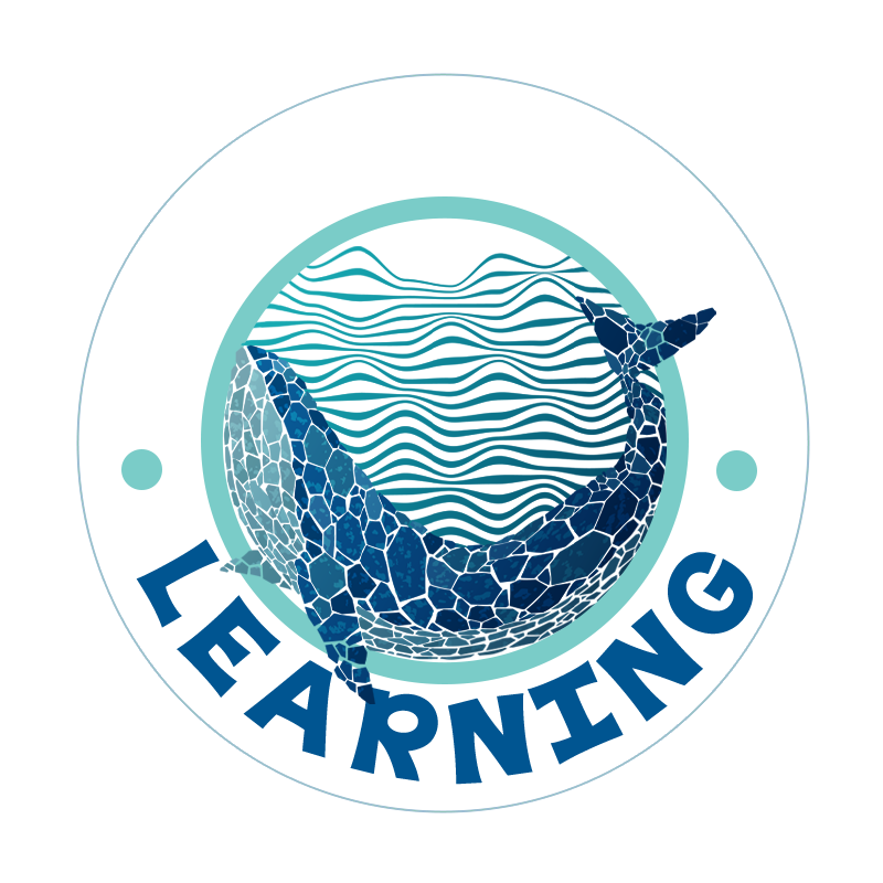 Blue Whale Learning